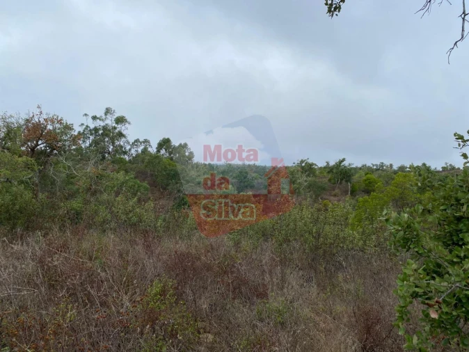 Terreno para Venda em Grândola e Santa Margarida da Serra Foto 4
