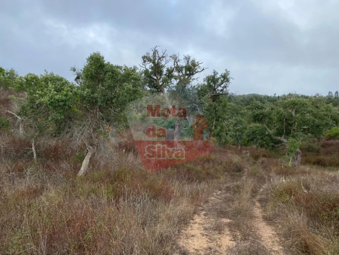 Terreno para Venda em Grândola e Santa Margarida da Serra Foto 15