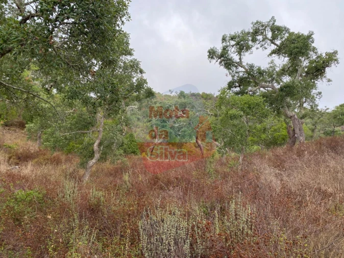 Terreno para Venda em Grândola e Santa Margarida da Serra Foto 6