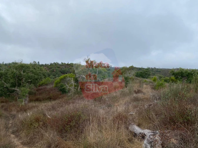 Terreno para Venda em Grândola e Santa Margarida da Serra Foto 8