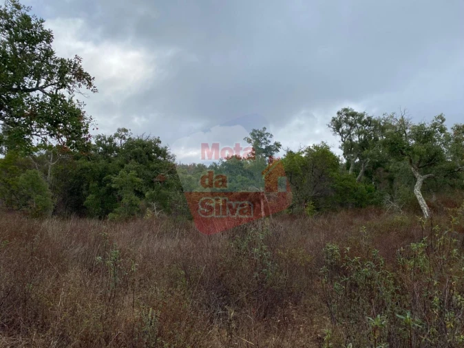 Terreno para Venda em Grândola e Santa Margarida da Serra Foto 5