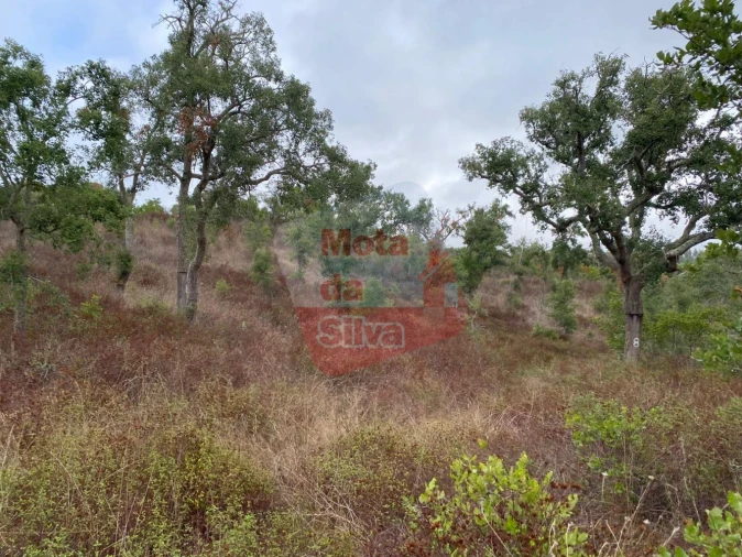 Terreno para Venda em Grândola e Santa Margarida da Serra Foto 10