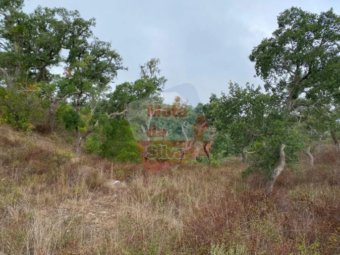 Terreno para Venda em Grândola e Santa Margarida da Serra Foto 2