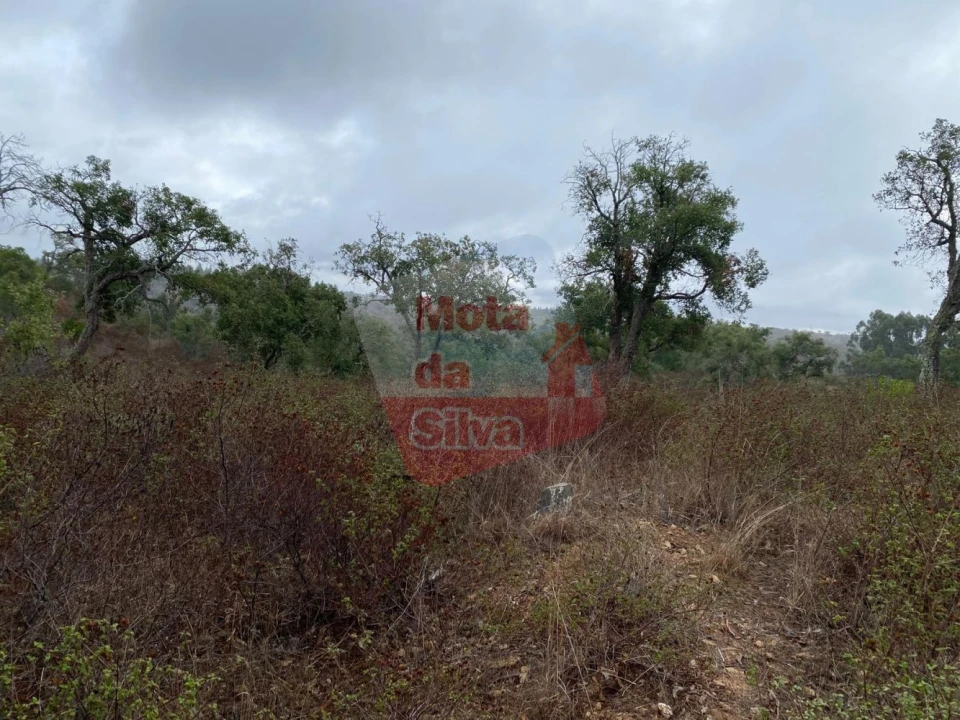 Terreno para Venda em Grândola e Santa Margarida da Serra Foto 13