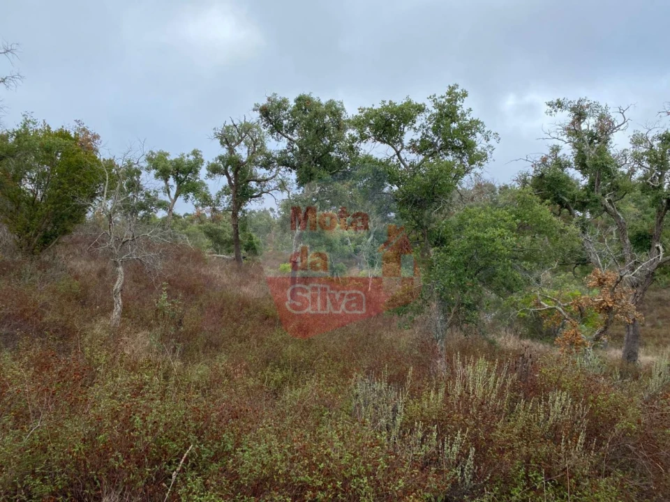 Terreno para Venda em Grândola e Santa Margarida da Serra Foto 11