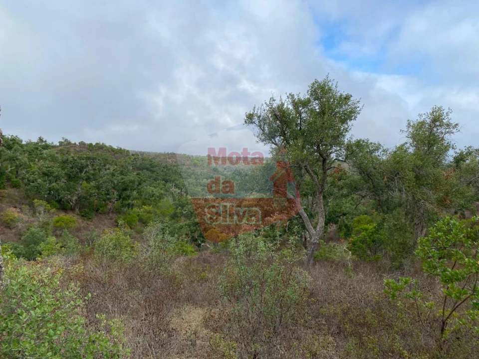 Terreno para Venda em Grândola e Santa Margarida da Serra Foto 1