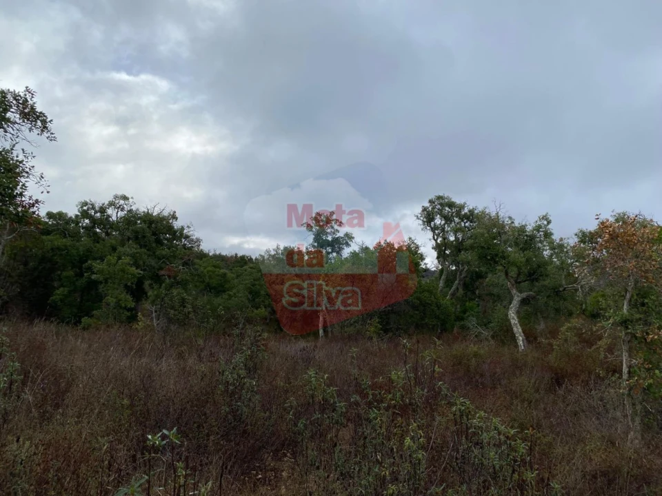 Terreno para Venda em Grândola e Santa Margarida da Serra Foto 3