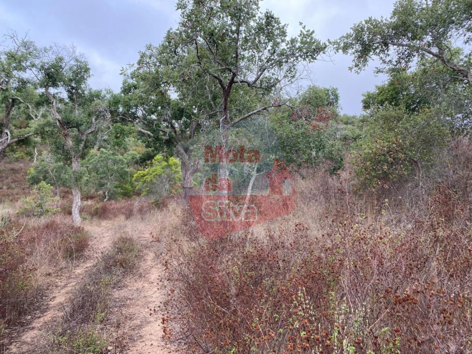 Terreno para Venda em Grândola e Santa Margarida da Serra Foto 12