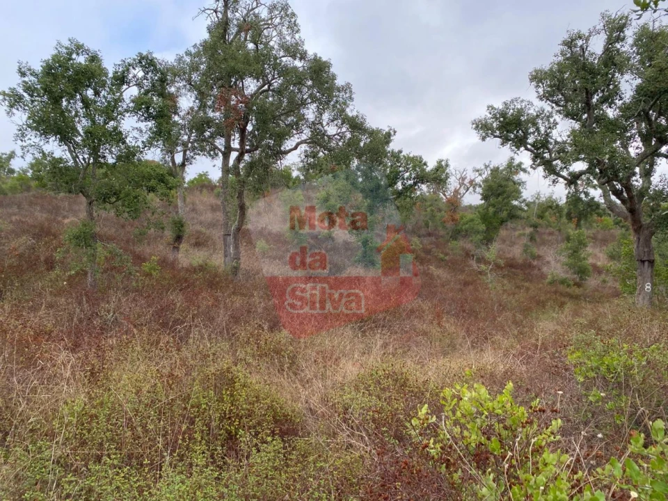 Terreno para Venda em Grândola e Santa Margarida da Serra Foto 7