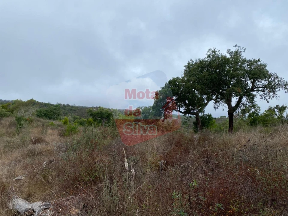 Terreno para Venda em Grândola e Santa Margarida da Serra Foto 14