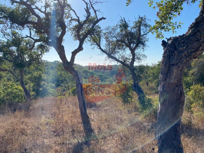 Terreno para Venda em São Francisco da Serra Foto 8