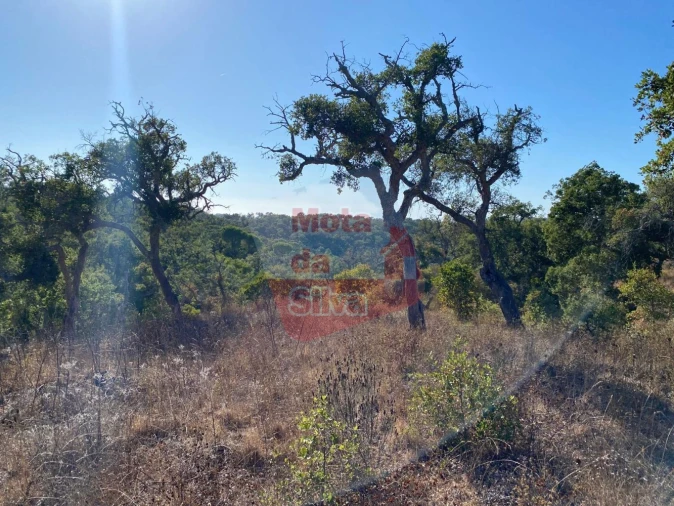 Terreno para Venda em São Francisco da Serra