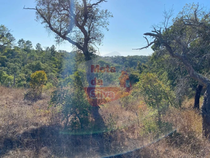 Terreno para Venda em São Francisco da Serra Foto 3