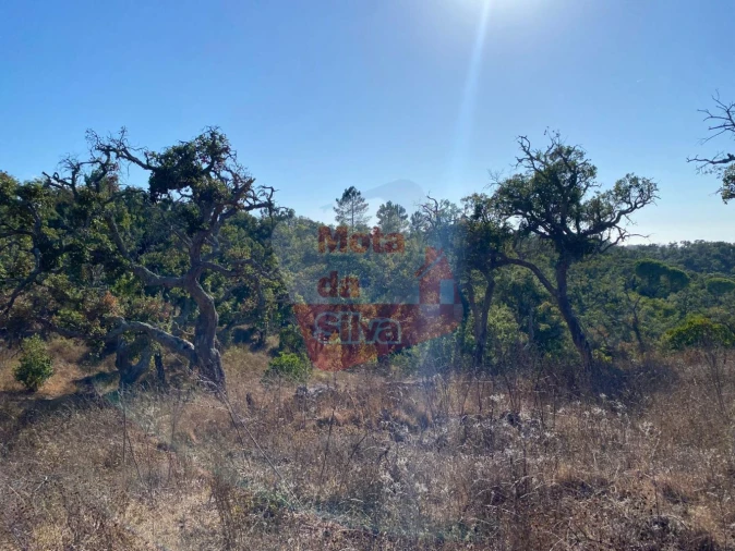 Terreno para Venda em São Francisco da Serra Foto 2