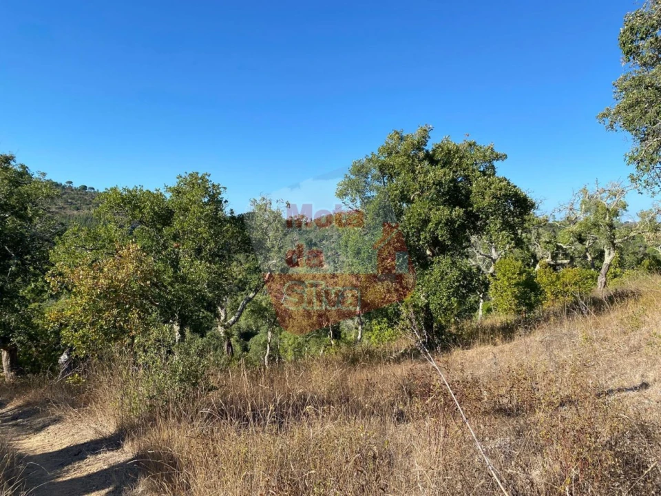 Terreno para Venda em São Francisco da Serra Foto 6