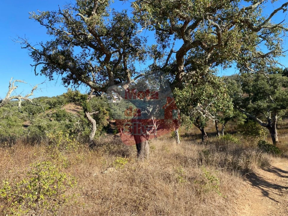 Terreno para Venda em São Francisco da Serra Foto 4