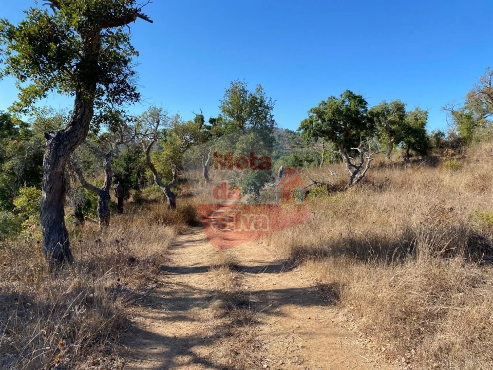 Terreno para Venda em São Francisco da Serra Foto 5