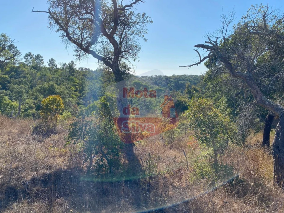Terreno para Venda em São Francisco da Serra Foto 3