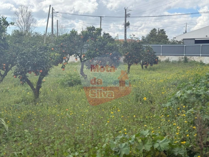 Terreno para Venda em Quinta do Anjo Foto 4