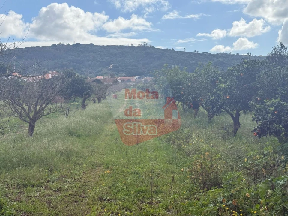 Terreno para Venda em Quinta do Anjo Foto 3