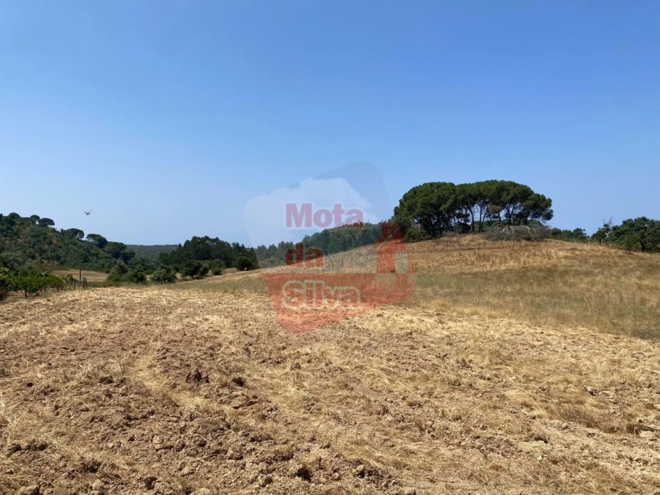 Terreno para Venda em São Francisco da Serra Foto 6