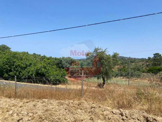 Terreno para Venda em São Francisco da Serra Foto 13