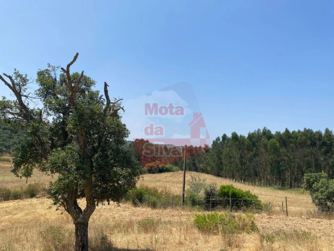 Terreno para Venda em São Francisco da Serra Foto 2