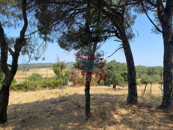 Terreno para Venda em São Francisco da Serra Foto 11
