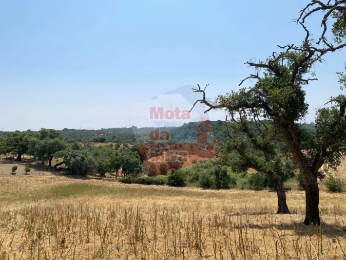 Terreno para Venda em São Francisco da Serra