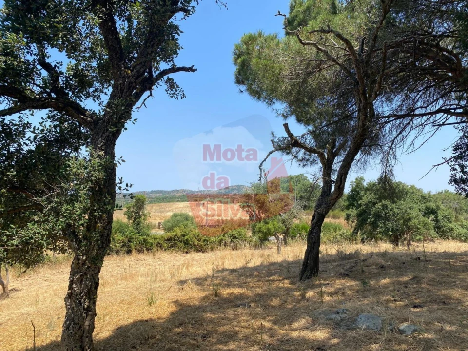 Terreno para Venda em São Francisco da Serra Foto 12