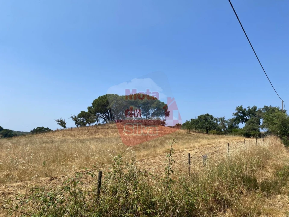 Terreno para Venda em São Francisco da Serra Foto 7