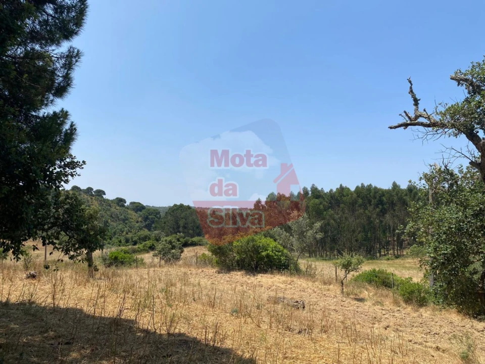 Terreno para Venda em São Francisco da Serra Foto 3