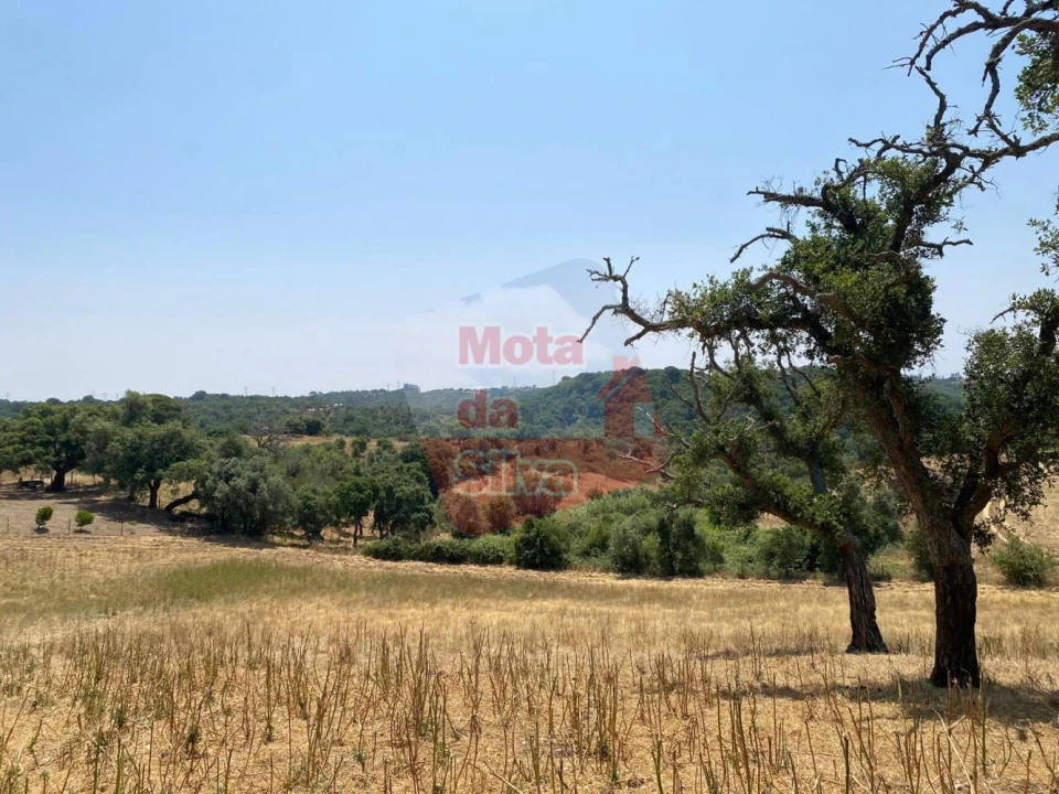 Terreno para Venda em São Francisco da Serra Foto 1