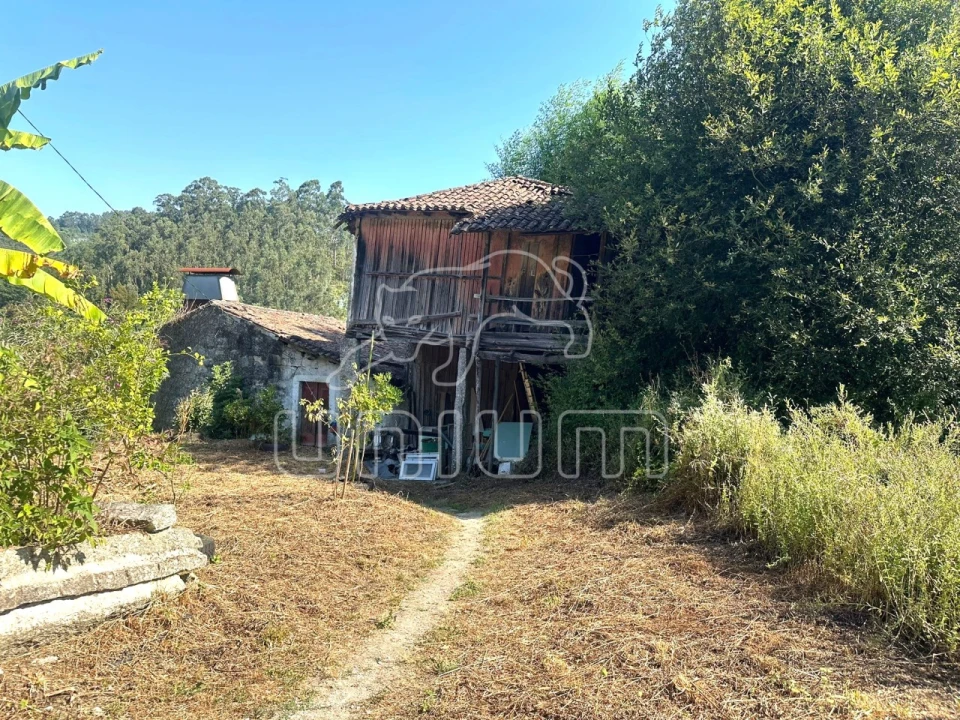 Quinta T3 para Venda em Oleiros Foto 6