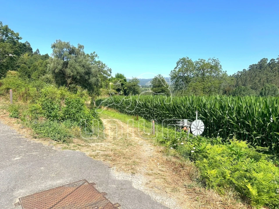 Quinta T3 para Venda em Oleiros Foto 9