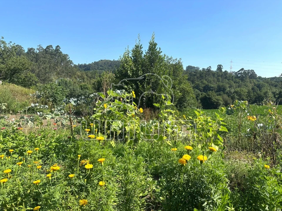 Quinta T3 para Venda em Oleiros Foto 10
