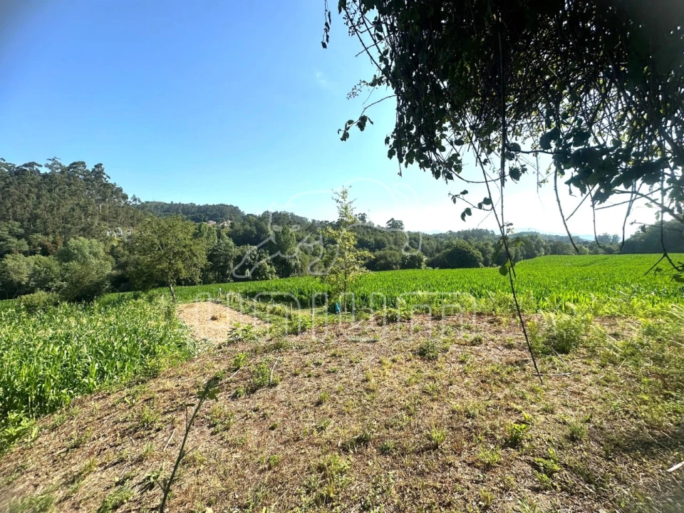 Quinta T3 para Venda em Oleiros Foto 12