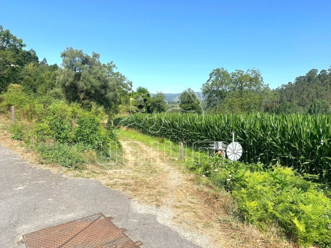 Quinta T3 para Venda em Oleiros Foto 9