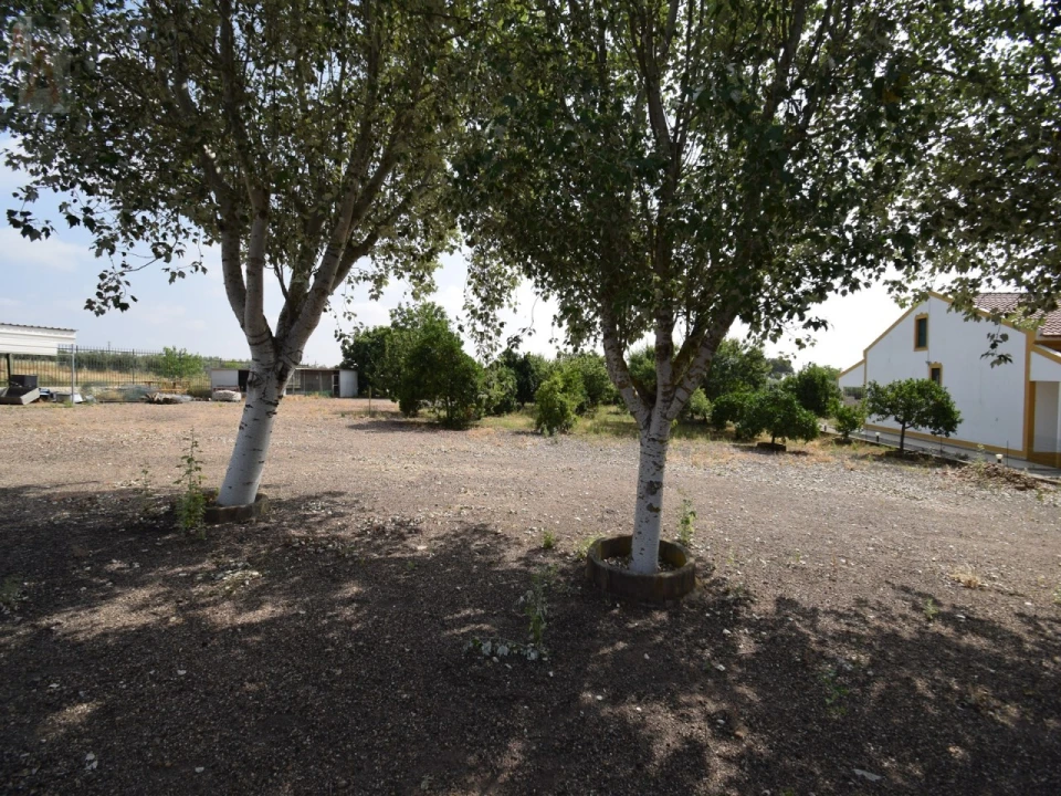 Quinta T5 para Venda em São Bras e São Lourenço Foto 37