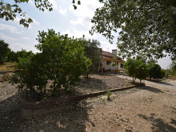 Quinta T5 para Venda em São Bras e São Lourenço Foto 3