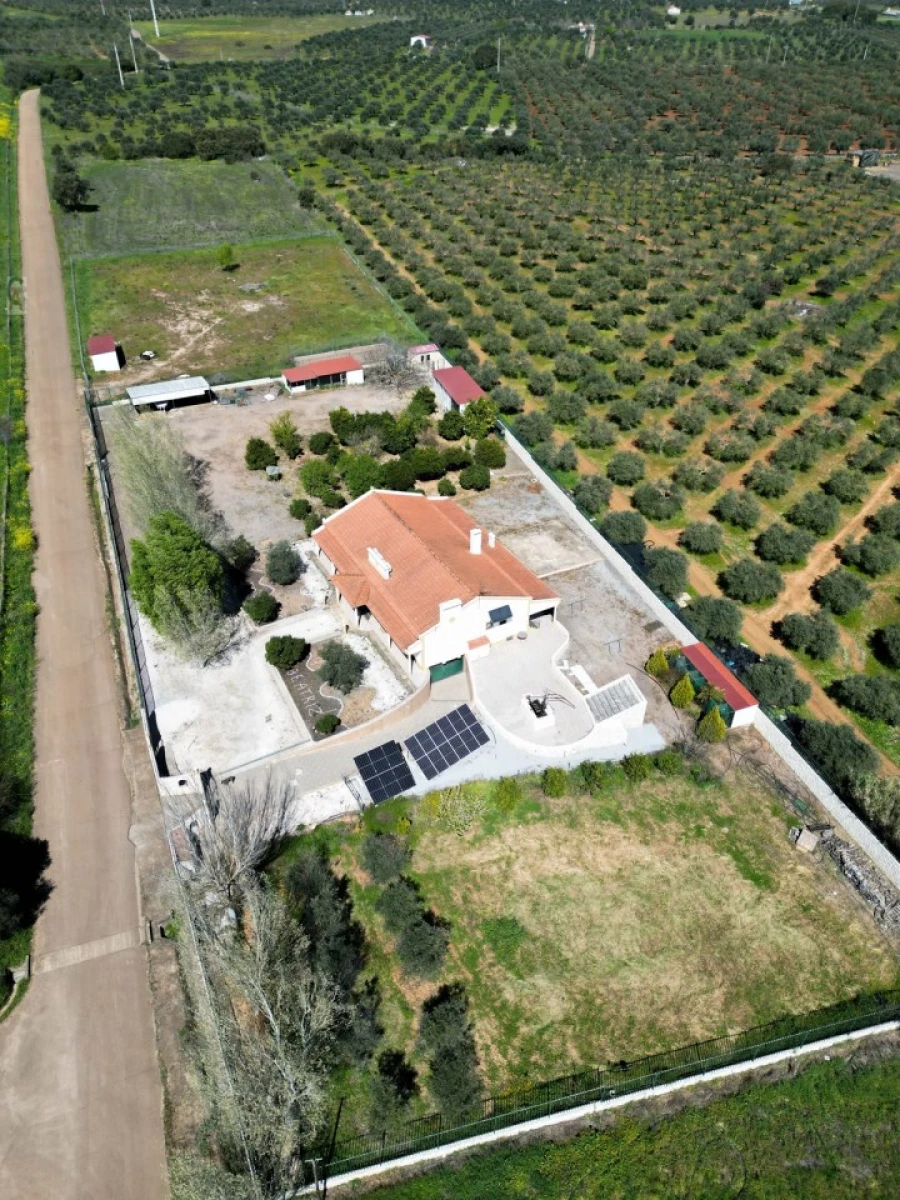 Quinta T5 para Venda em São Bras e São Lourenço Foto 1