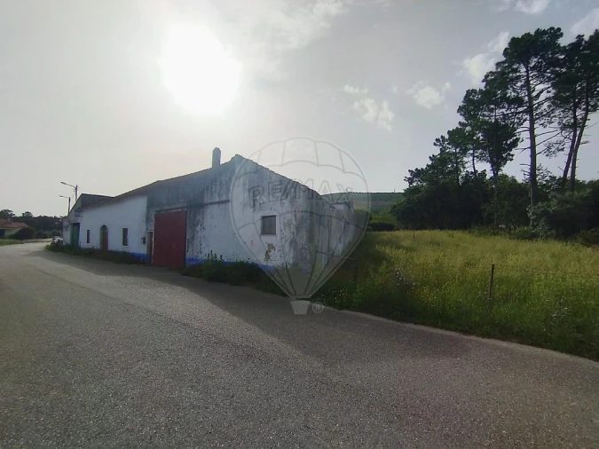 Moradia T1 para Venda em Pedreiras Foto 4