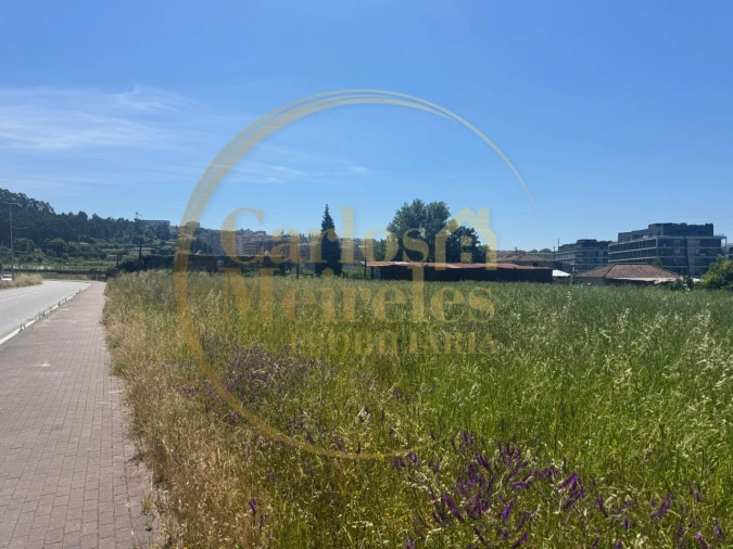 Terreno para Venda em Real, Dume e Semelhe Foto 3