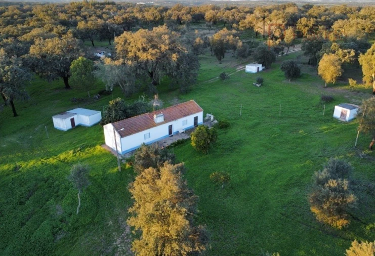 Quinta T2 para Venda em Abela