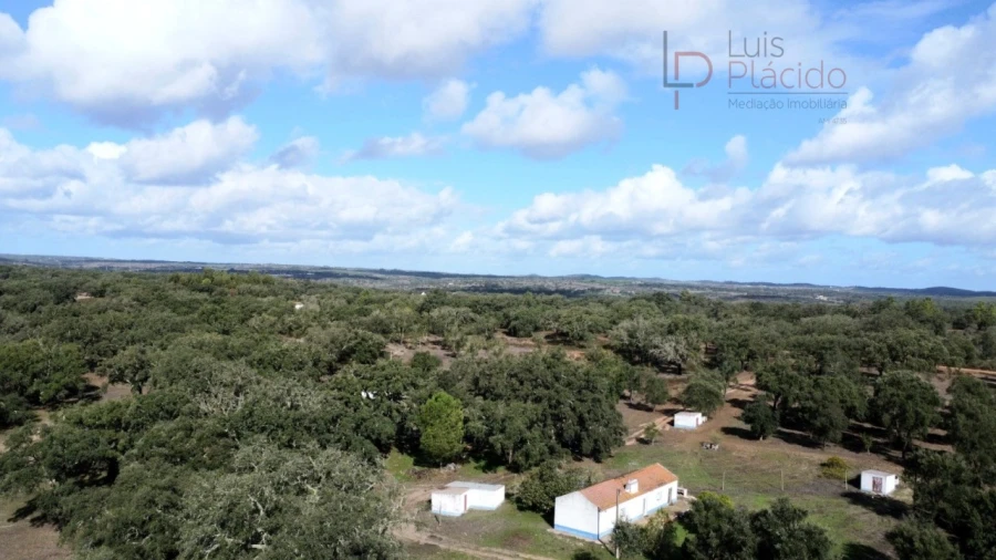 Quinta T2 para Venda em Abela Foto 3