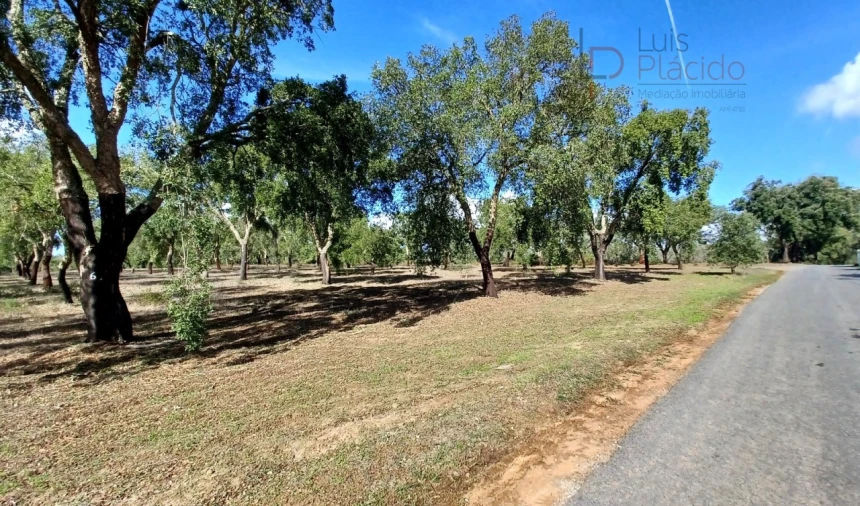 Quinta T2 para Venda em Abela Foto 5