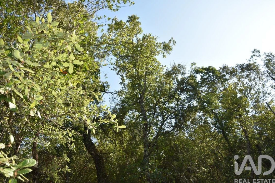 Terreno para Venda em Nossa Senhora do Pranto Foto 22