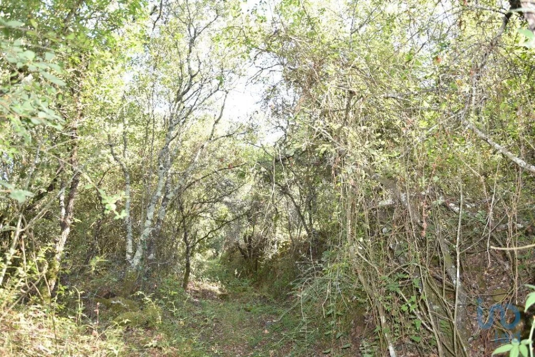 Terreno para Venda em Nossa Senhora do Pranto Foto 2