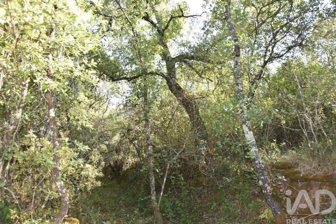 Terreno para Venda em Nossa Senhora do Pranto Foto 23