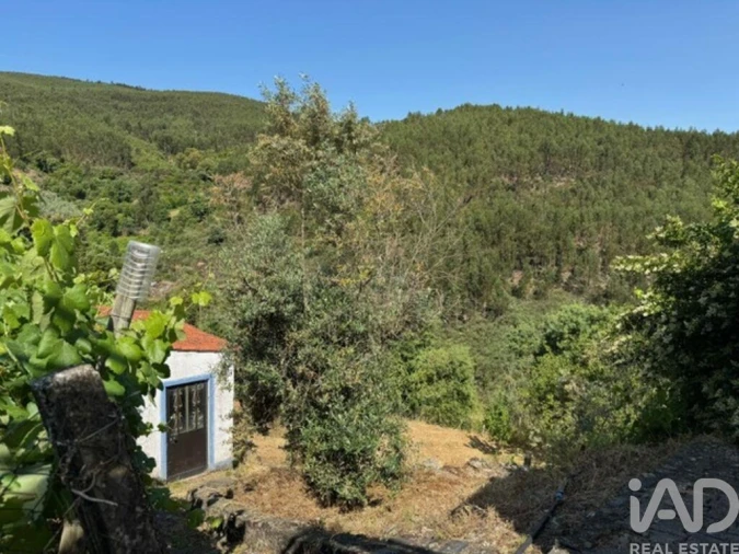 Moradia T3 para Venda em Madeirã Foto 29